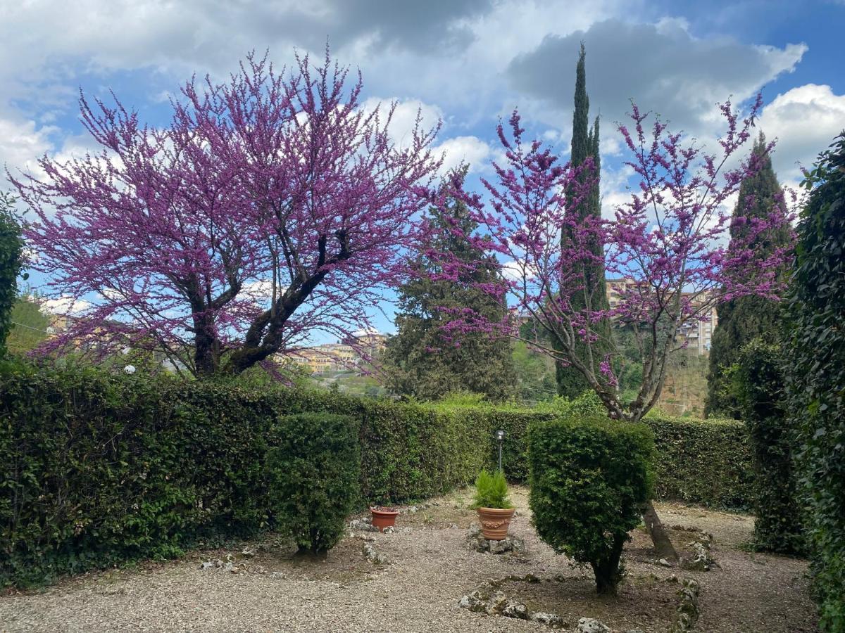 Villa Zara Siena Exteriör bild